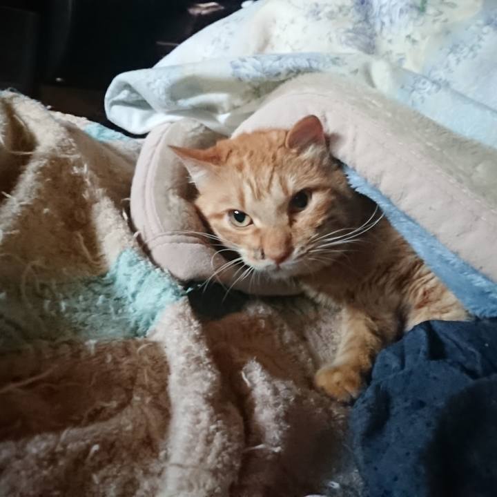 42b2fa39 db14 49d9 b3d5 18f58fa730fa 1654117331301