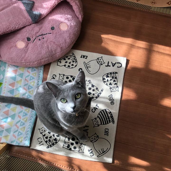 42b31c29 0d1c 4584 bcb6 df727d92d7ba 1577505299588