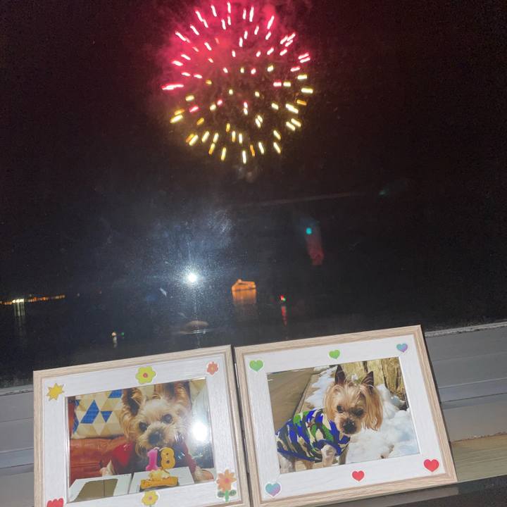 42b332ef c066 45f8 9f8f 4c09cd085528 1722074901052