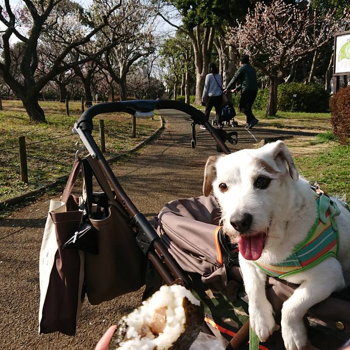 42b33c3f 0d06 454a 9aea 9bbe675aaaf2 1583052134144