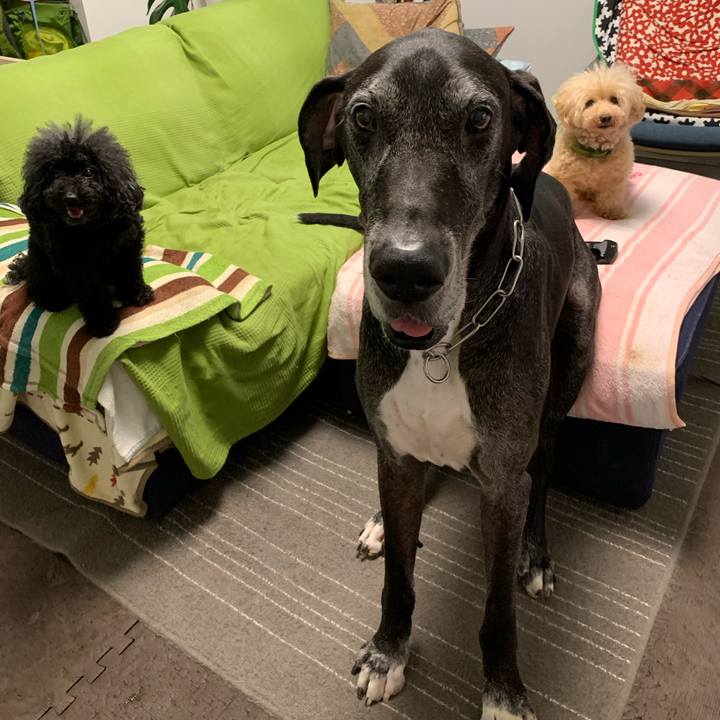 42b3548f f19b 4196 9698 cf68fca7fc52 1599086974473