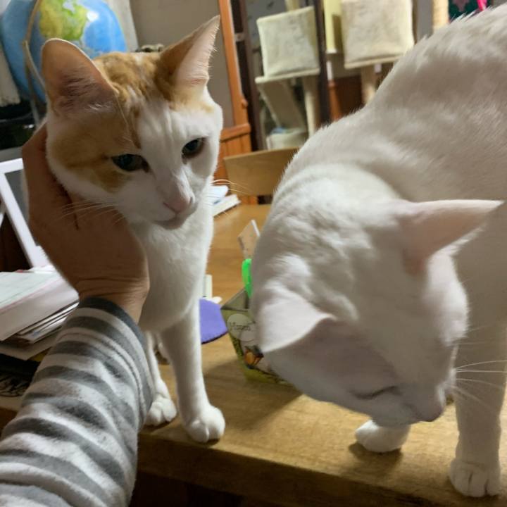 42b37166 2a41 457a aa09 28e5af39beba 1580484537789