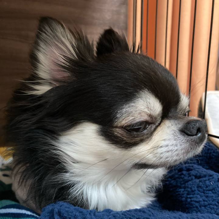 42b3856e 5f82 4279 9c27 4ecda02fb617 1675525287461