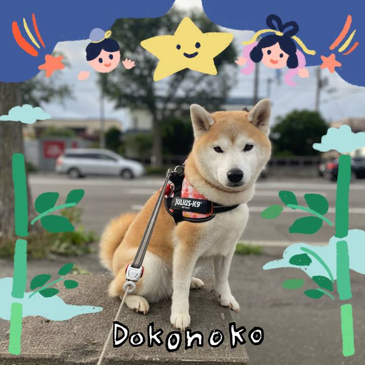 42b3875c dedf 4da2 a02f 0d45993dc1fa 1720880864046