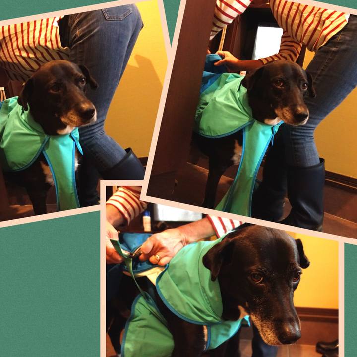 42b3878d 26e0 4525 8a63 b346e17ab769 1728432410454