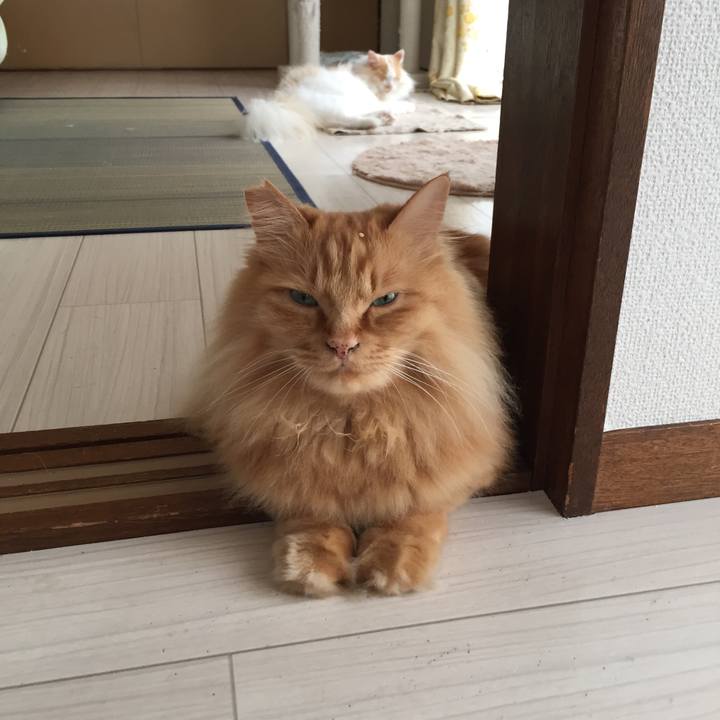 42b3b775 fda7 4e6e 904e 462c54a5bcd0 1527114374702