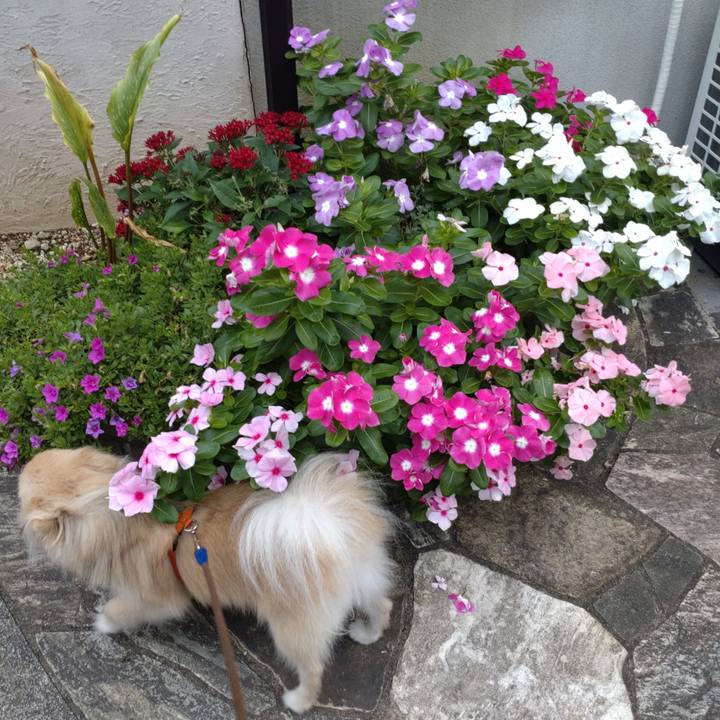 42b3ec27 9c0d 4524 beb3 99371ff34f22 1757377084815