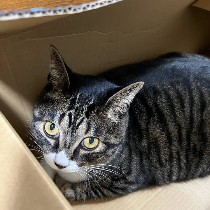 42b3eefd d4fb 4d9d a3ea 719b64bdf4ae 1760743811066