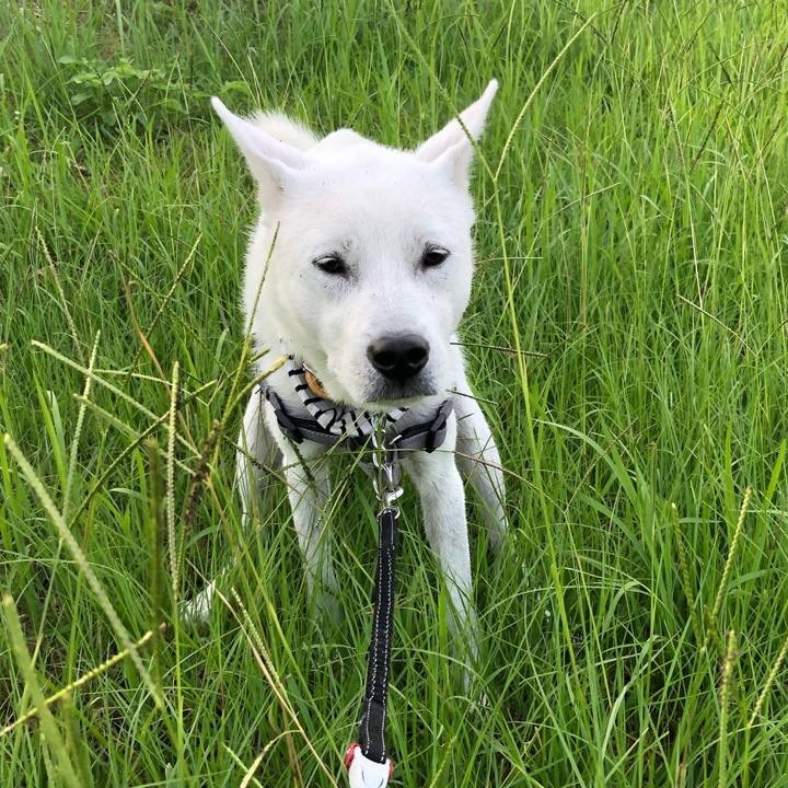 42b3fc66 1a7e 4e25 8020 d55db76ef9c4 1533598085447