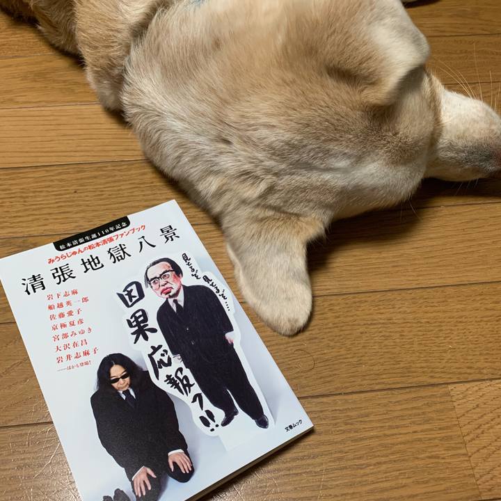 42b4079a 338b 4911 826c 73f6cd8d631a 1566293223210