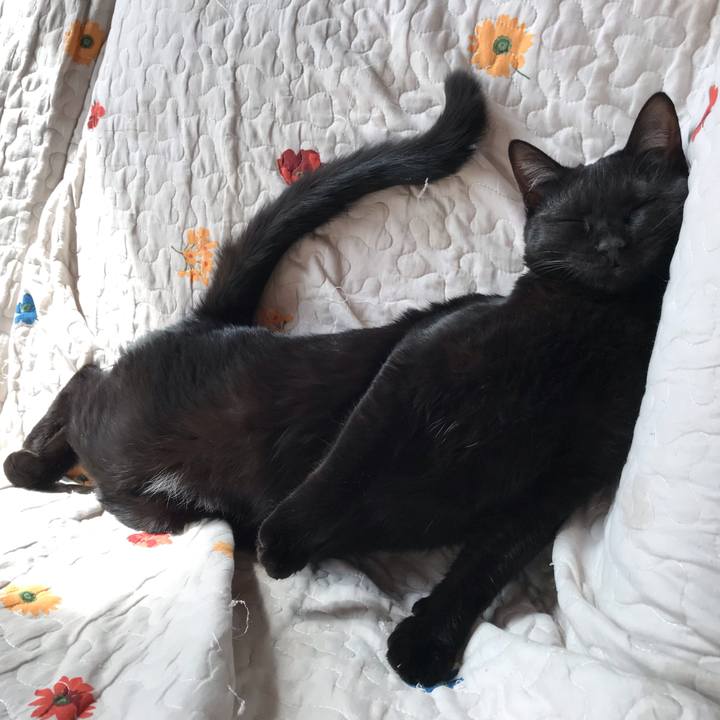 42b44a24 b9bd 44a5 9d18 f1b9ebd1cbf9 1575773103865