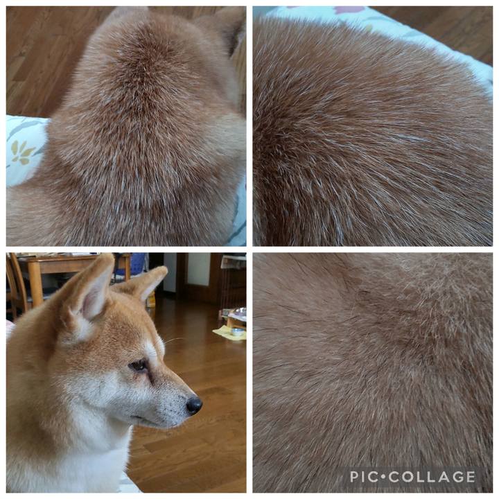 42b493b1 2214 4c15 afea 32a601c563f8 1763279309066