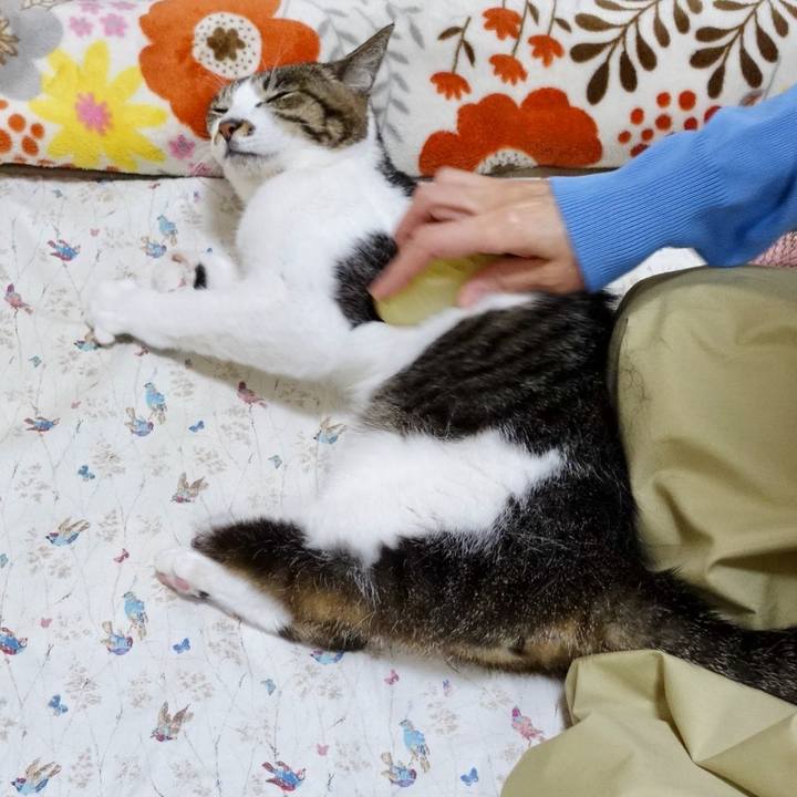 42b49d56 749f 4f8e a2db 39ba5aafb0ad 1762652860567