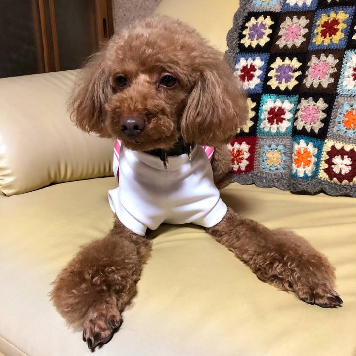 42b4c558 6840 4fc0 8eb3 46a2f9d32921 1556795204491