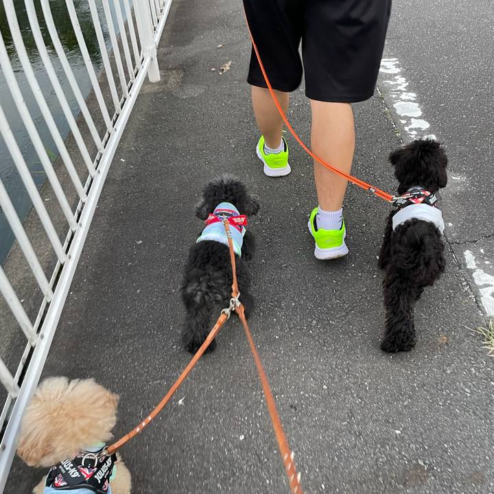 42b4ee90 3c48 40ab ad2a 012bd0078331 1688899475010