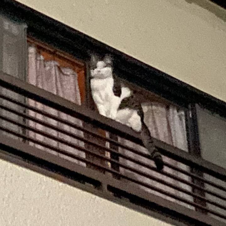 42b4f801 c7d8 4f9a b9b6 8e2ec6fd61f1 1687403593768