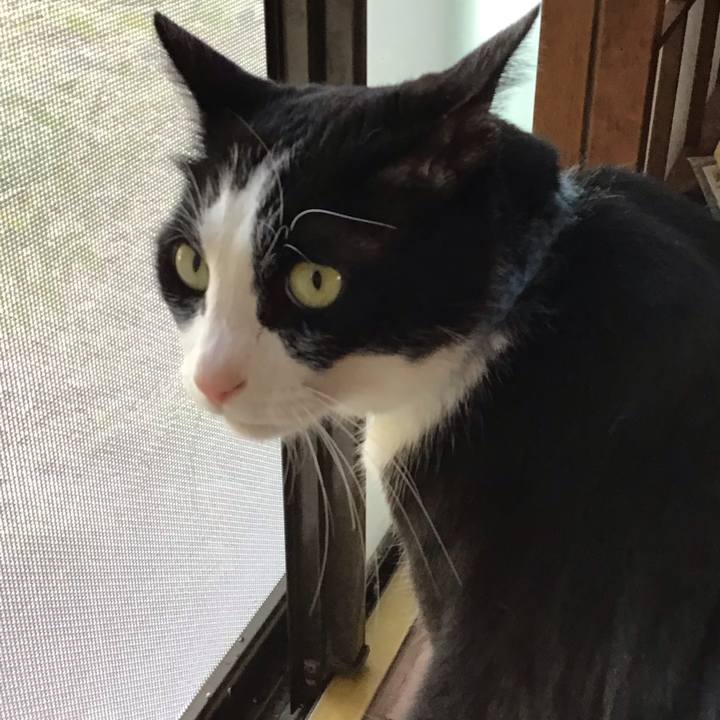 42b4feea 5764 480f 8579 ead5b34a5808 1742970285366