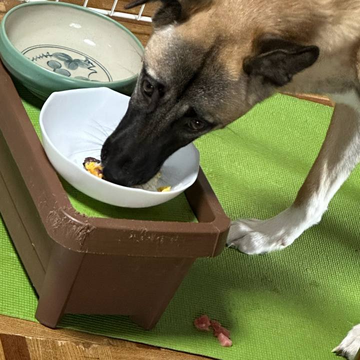 42b51b42 e551 41a0 b137 b48c928b43e3 1709437282430