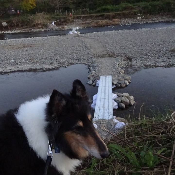 42b548b7 f478 489e 96cc 849437e78f95 1574167659471