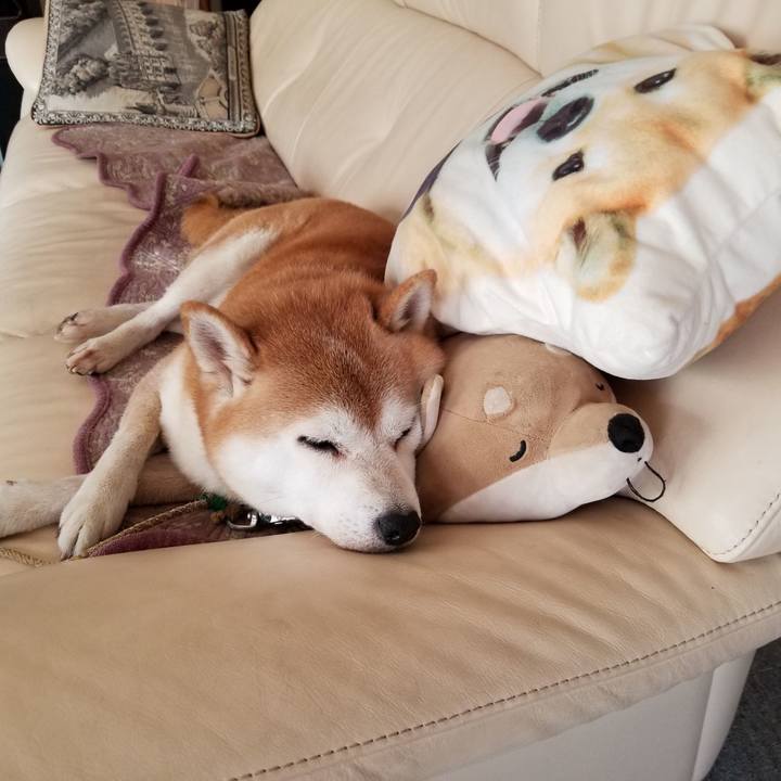 42b55feb 3722 40c4 a9da c14f1957ccd5 1632108104528