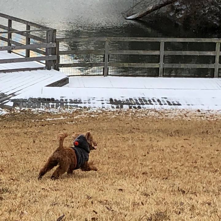 42b56a95 bba0 4b10 884a 76d4f7087392 1580984394897