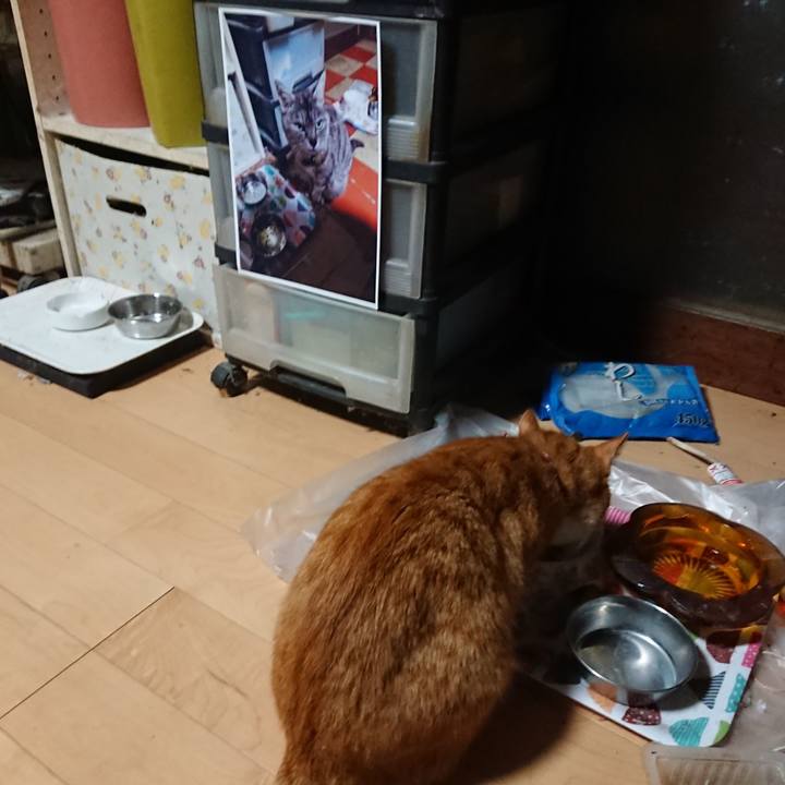 42b5b7a1 7afa 4edd 8552 1fbe537afe3e 1600287638109