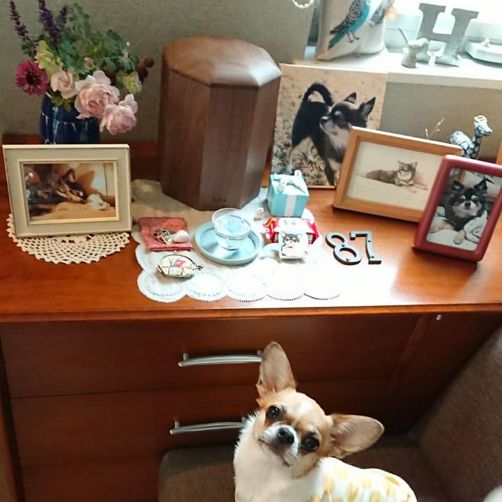 42b5c977 b7f3 4420 ae92 58b8acd842bd 1561622447912