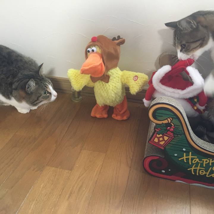 42b5ce93 bea3 4864 a8cd cc08b1e5d69c 1703238356629