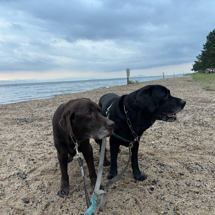 42b5dcba efd2 46f0 a5b4 87c276fefc7b 1758367360191