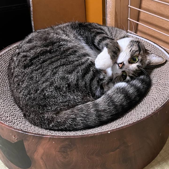 42b638a0 452d 4655 a996 7f5e7dcfe4fc 1745461707087