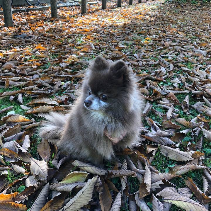 42b64993 d558 476a b637 b4c890774520 1604471998057