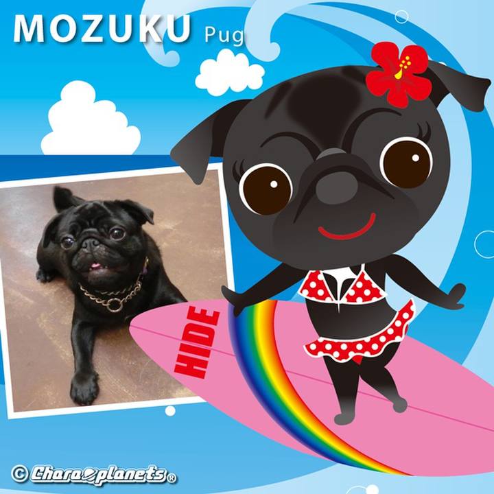 42b6d9dc 58ff 4bc8 908e b88b2f919be8 1558570011134