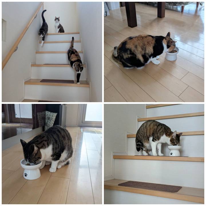 42b6feeb 32a4 4400 9cd3 f45a09725a08 1769866724137