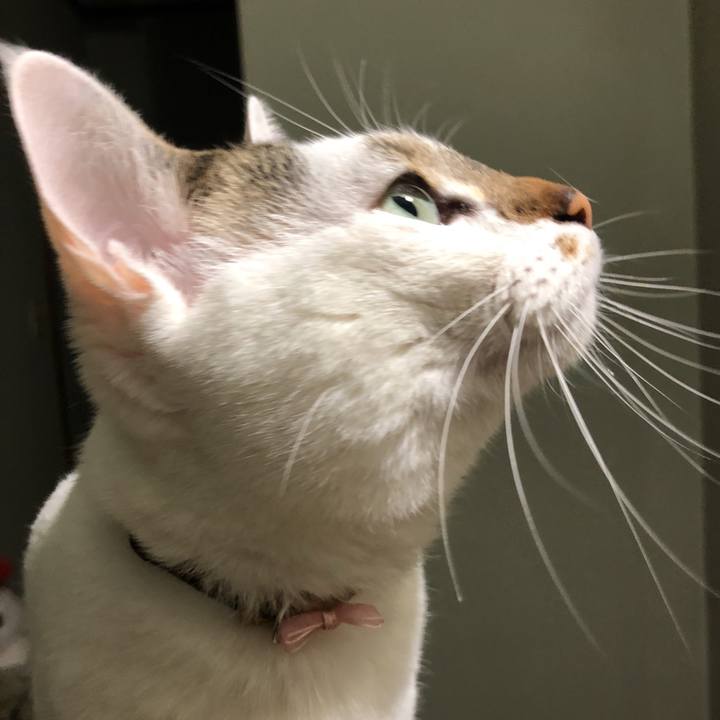 42b71970 3e87 4960 9883 99ccf5128ded 1522239694136