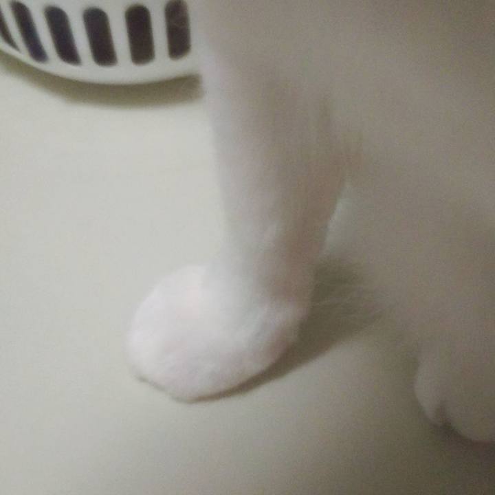 42b72877 3411 434b 8247 76c66b3a6c3c 1552816965845