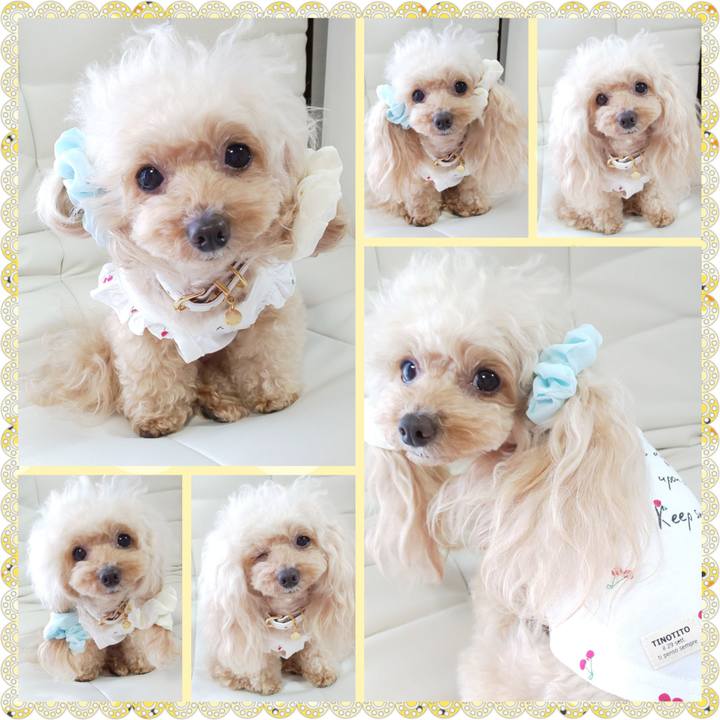 42b77355 4995 4881 9495 b0f3d8804290 1619093186323