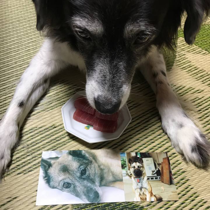 42b78885 51f3 4870 81c0 bf5067e9ece1 1534409740178