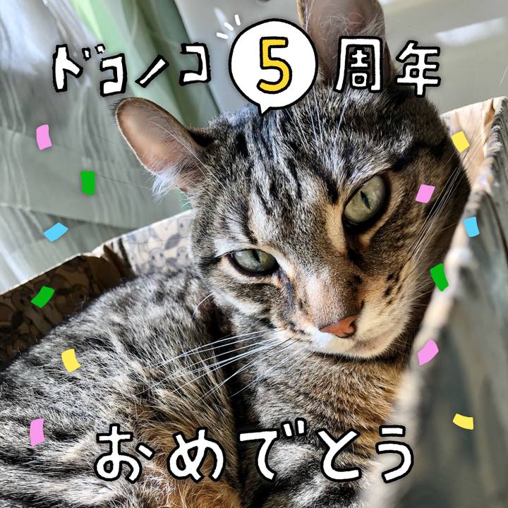 42b79b38 64ec 4c76 a983 612f55277258 1622852652505