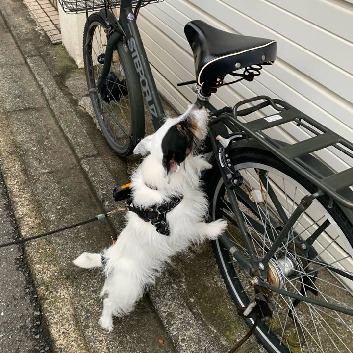 42b7cfcd f79e 45ef 9bb3 0ca8abd24c8f 1692169311975