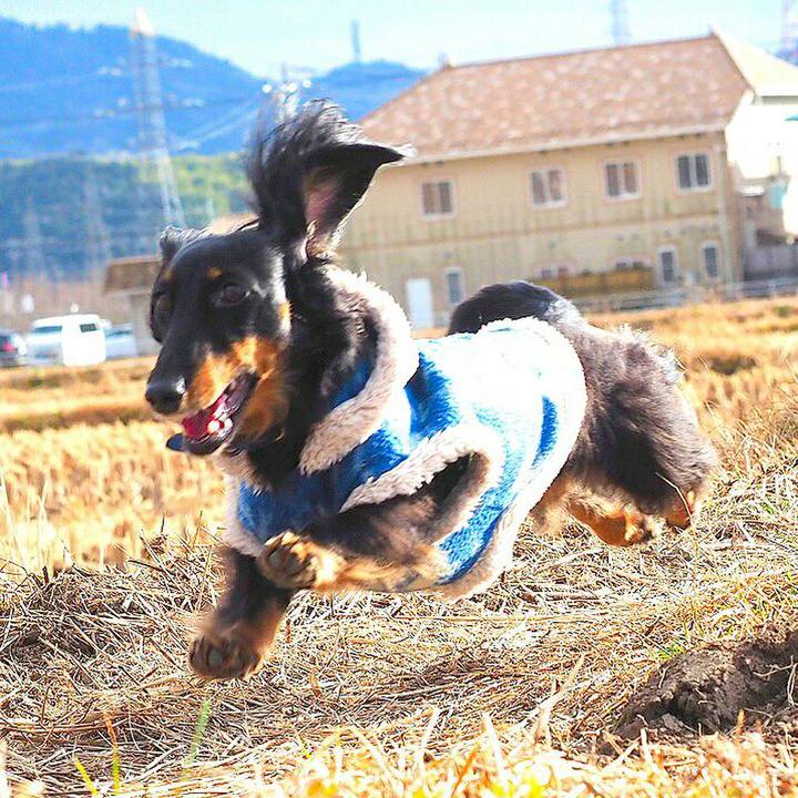 42b7dcd9 d6c5 4496 9466 03b80097a8d9 1514948758163