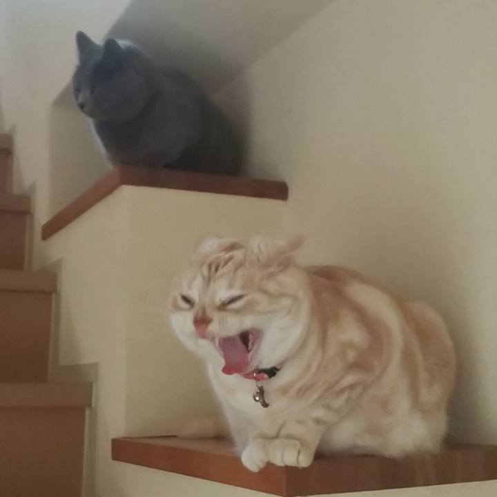 42b7e9ed b035 4339 ad4a 21fac666d865 1556265606712