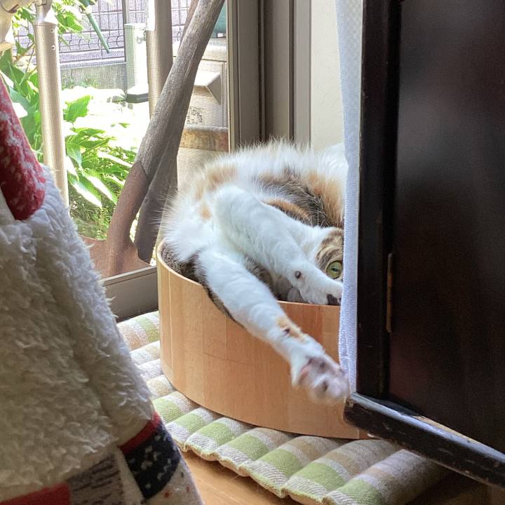 42b7ec74 1c8f 42c5 8a7b 756c3d964b71 1683694477328