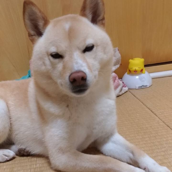 42b7ee4d 21b4 43c6 97ef d2f3e5c823ca 1590103163437