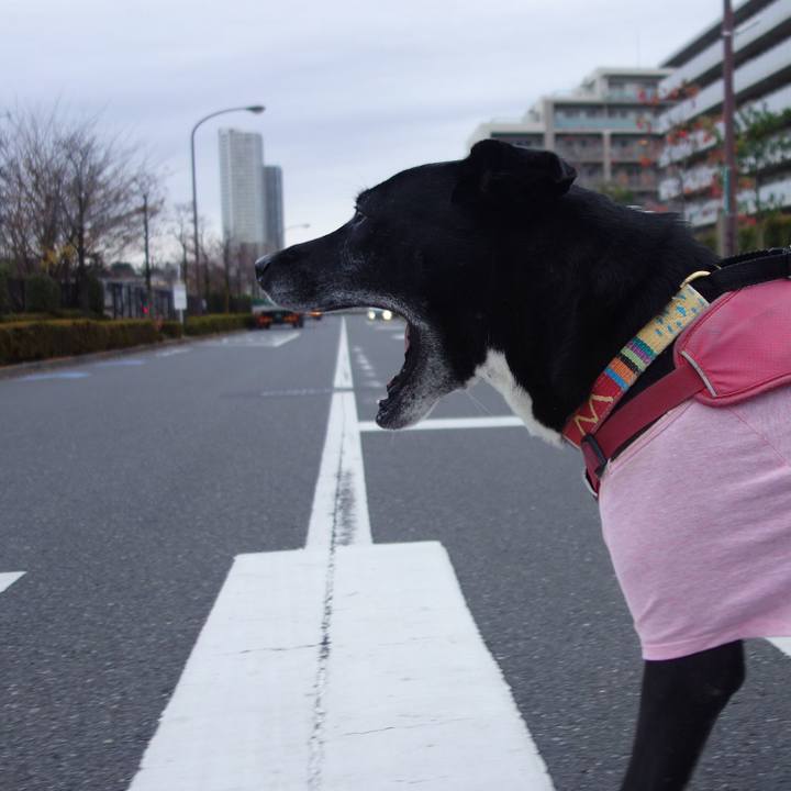 42b8051a 1953 47aa 8605 6046569286e3 1702949895593