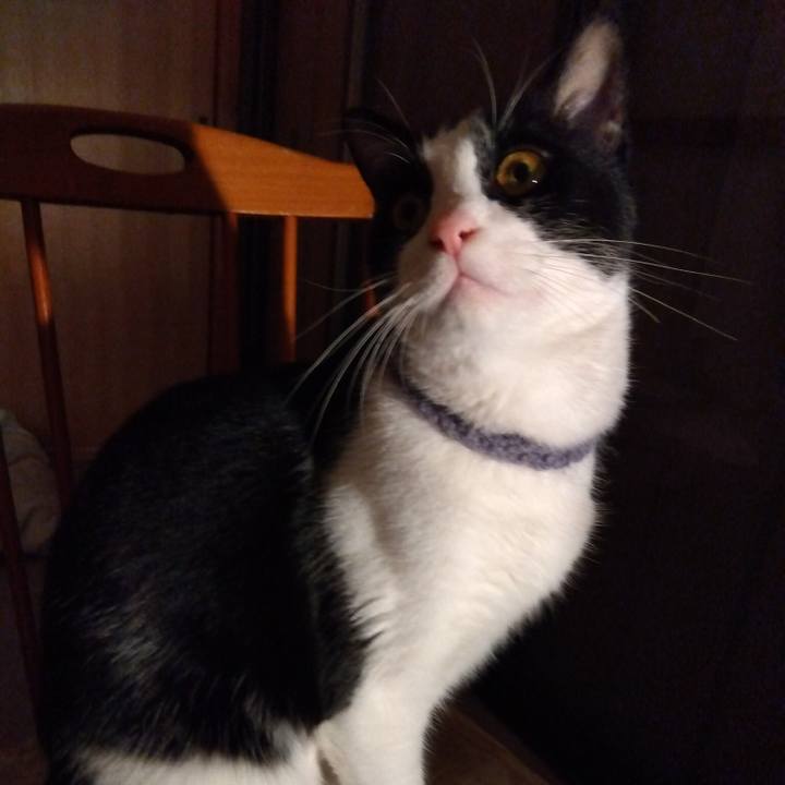 42b823dc 38a1 4319 81ee 3f0dd642681f 1672452794995