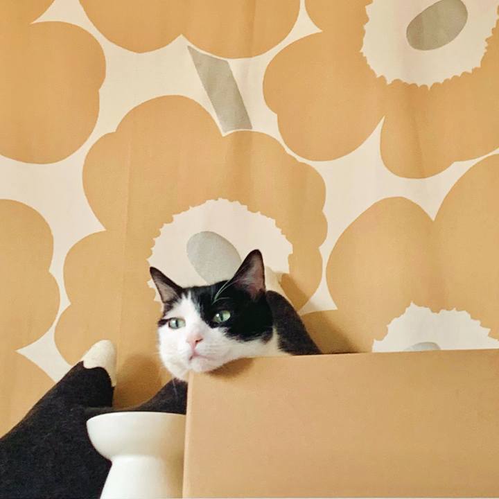 42b852bb 8a6e 4a15 a437 767092924acb 1710801594372