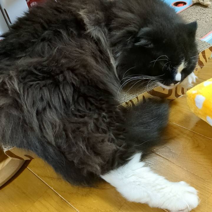 42b8a9dd d366 4248 b627 ded33c7edec8 1686829609112