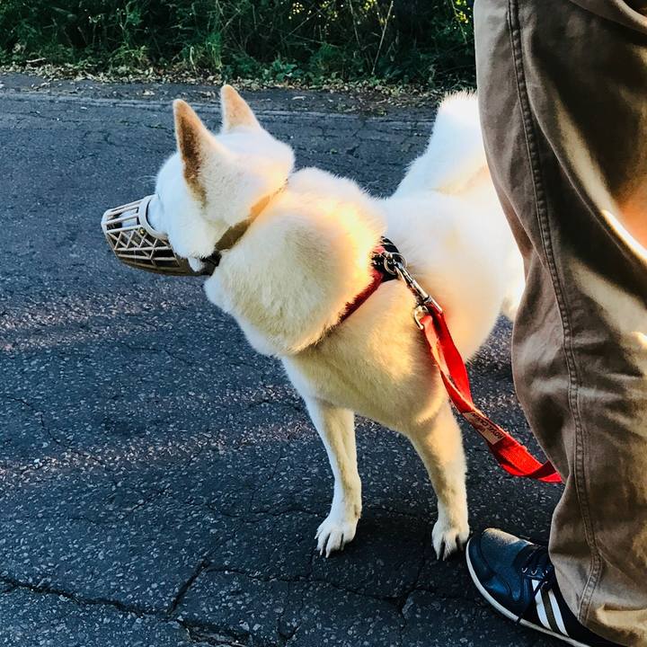 42b8baf9 d896 4b22 b613 7801282a14d7 1537440189597