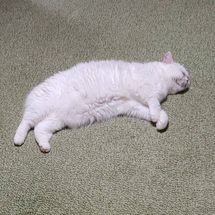 42b8c087 15aa 413b aa29 031e46039509 1693131043908