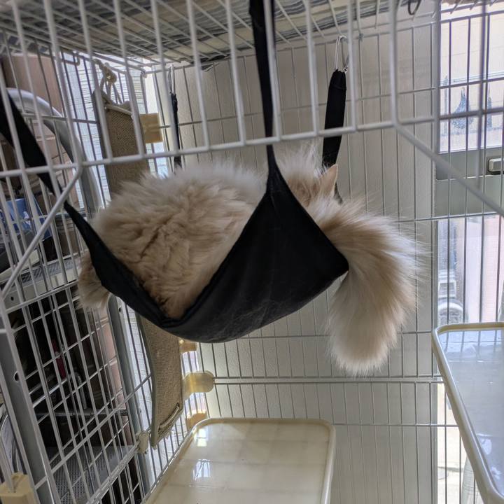 42b8d21a 56f3 4ed7 8715 4866393c2bb2 1750992024062